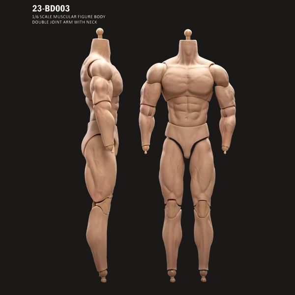 1/6 比例 BD003 肌肉发达男性可动人偶身体，适用于 12 英寸 Hot Toy 士兵头部-12