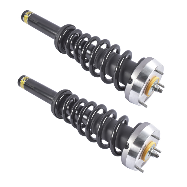 Pair Front Complete Strut & Coil Spring Assembly Replacement for BMW X5 2007-2013, X6 2008-2014 1335906-6