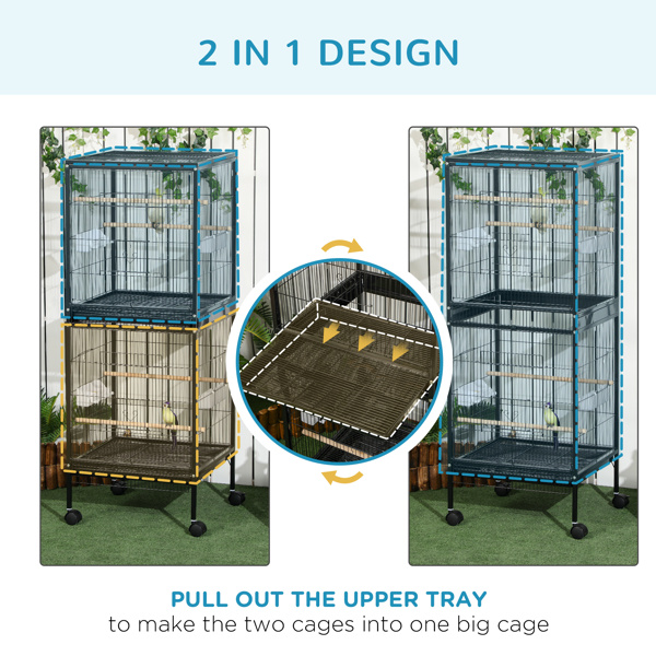 Bird Cage-3