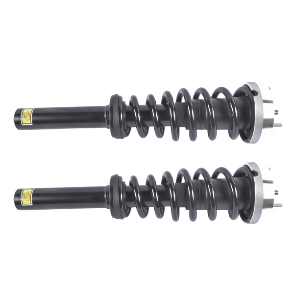 Pair Front Complete Strut & Coil Spring Assembly Replacement for BMW X5 2007-2013, X6 2008-2014 1335906-2