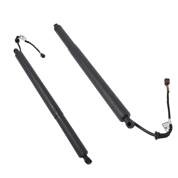 Power Tailgate Lifts LH & RH Fit for Hyundai Santa Fe 2.0L 2.4L 2019-2020 81841-S1100 81841S1100-5