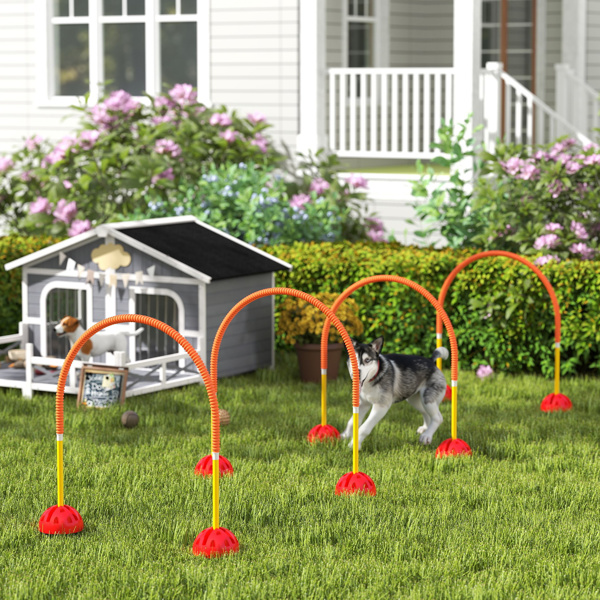 Dog agility training equipment-1