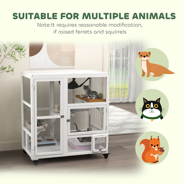 Cat House-7