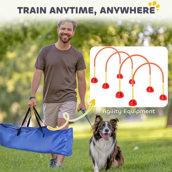 Dog agility training equipment-4