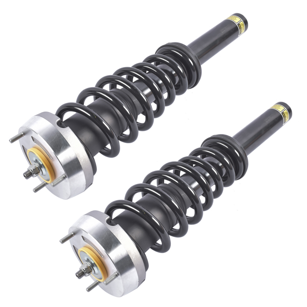 Pair Front Complete Strut & Coil Spring Assembly Replacement for BMW X5 2007-2013, X6 2008-2014 1335906-1