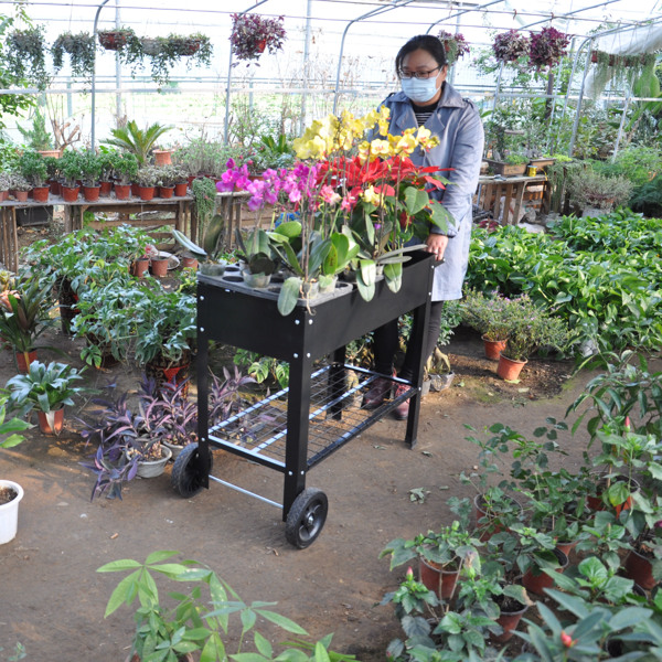Mobile Metal Raised Garden Bed Cart with Legs, Elevated Tall Planter Box with Wheels for Outdoor Indoors House Patio Backyard Vegetables Tomato DIY Herb Grow Black -11