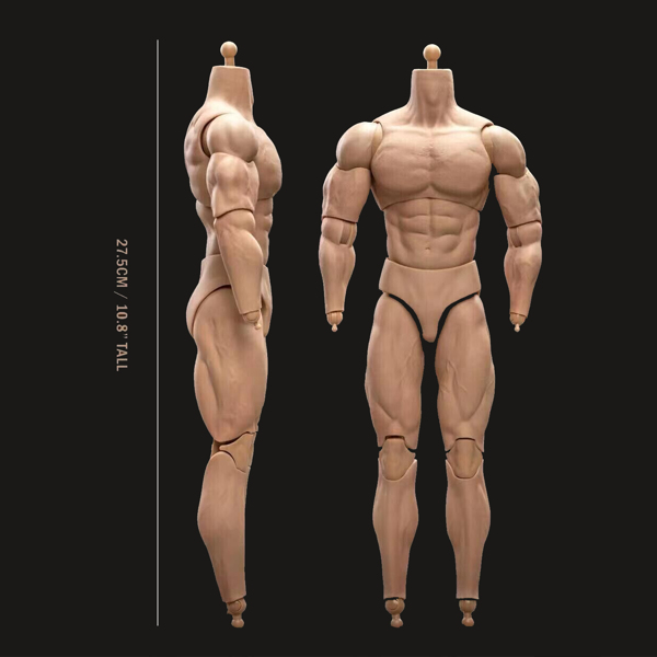 1/6 比例 BD003 肌肉发达男性可动人偶身体，适用于 12 英寸 Hot Toy 士兵头部-4