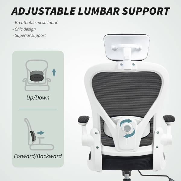 Office Chair/Massage Office Chair -4
