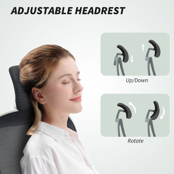 Office Chair/Massage Office Chair -5