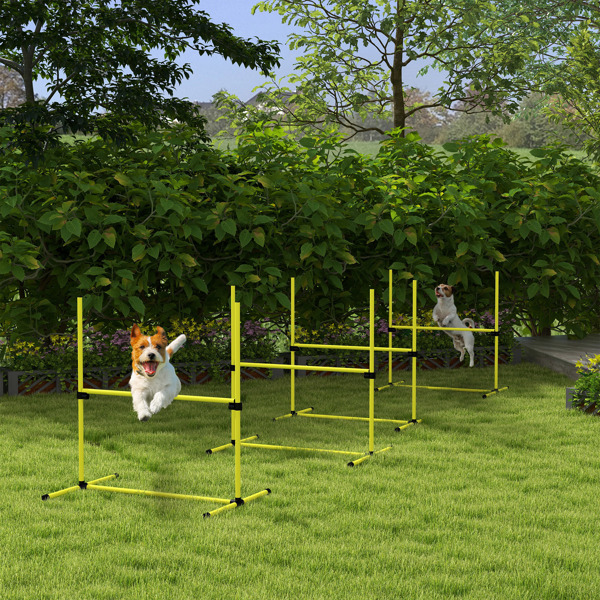 Dog agility training equipment-1