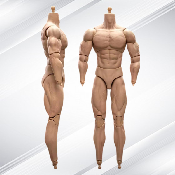 1/6 比例 BD003 肌肉发达男性可动人偶身体，适用于 12 英寸 Hot Toy 士兵头部-10