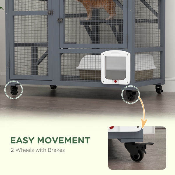 Cat House-5