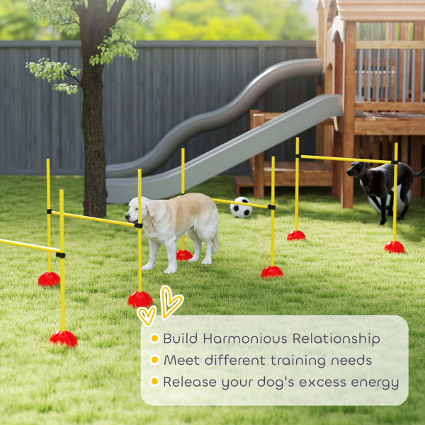 Dog agility training equipment-7