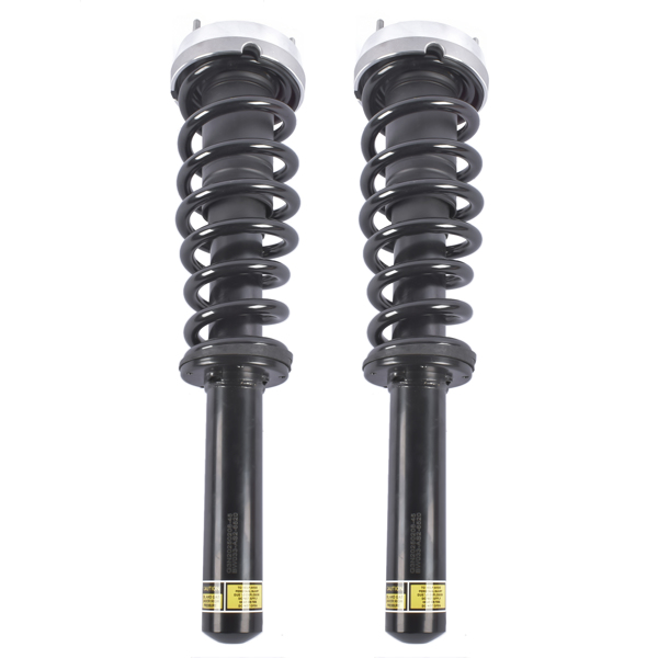 Pair Front Complete Strut & Coil Spring Assembly Replacement for BMW X5 2007-2013, X6 2008-2014 1335906-10