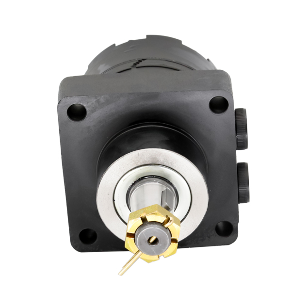 液压马达 Hydraulic Pump 184-0490-002 For Char-Lynn 184-0490 Motor SAE 10 Port Type-4
