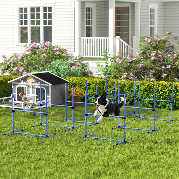 Dog agility training equipment-1