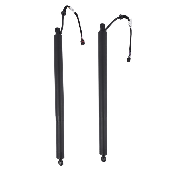 Power Tailgate Lifts LH & RH Fit for Hyundai Santa Fe 2.0L 2.4L 2019-2020 81841-S1100 81841S1100-7