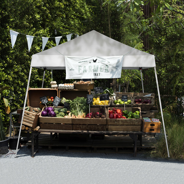 3 x 3M Portable Home Use Waterproof Folding Tent White-12