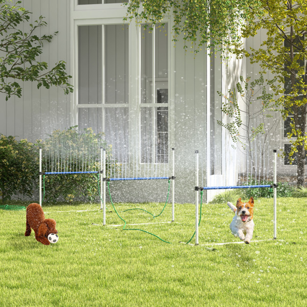 Dog agility training equipment-1