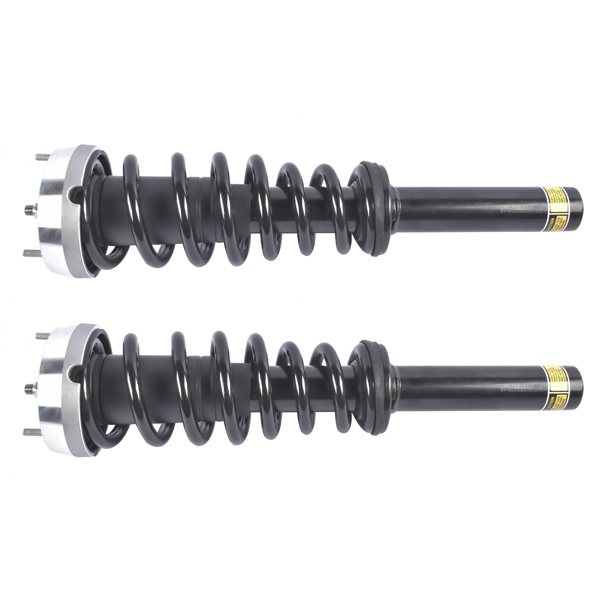 Pair Front Complete Strut & Coil Spring Assembly Replacement for BMW X5 2007-2013, X6 2008-2014 1335906-5
