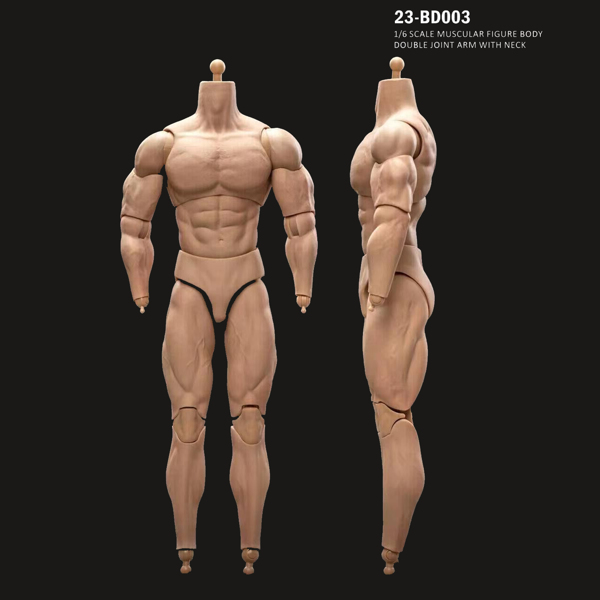 1/6 比例 BD003 肌肉发达男性可动人偶身体，适用于 12 英寸 Hot Toy 士兵头部-13