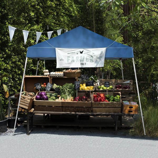 8*8ft Portable Home Use Waterproof Folding Tent Blue-11