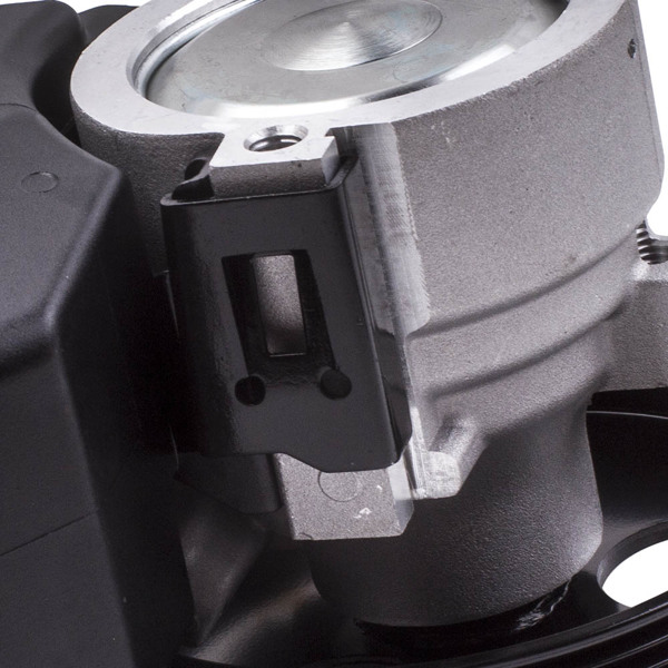 Power Steering Pump fit for Chevrolet Impala 2006-2011 Monte Carlo 2006-2007 2069989-5