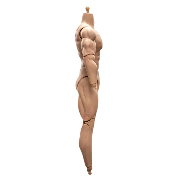 1/6 比例 BD003 肌肉发达男性可动人偶身体，适用于 12 英寸 Hot Toy 士兵头部-5