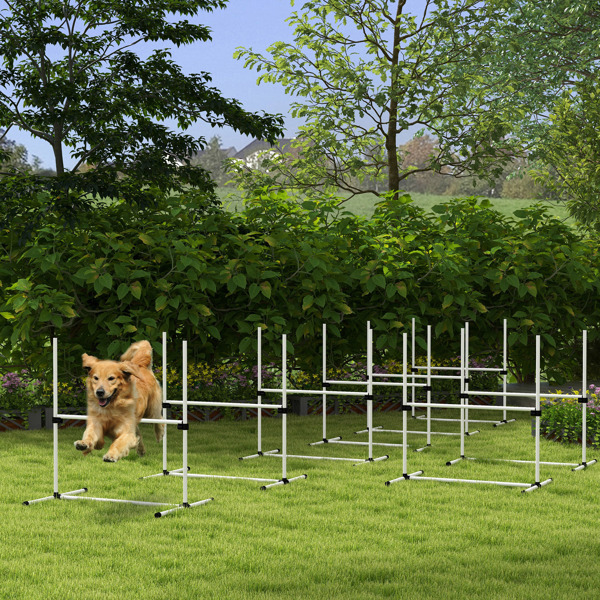 Dog agility training equipment-1