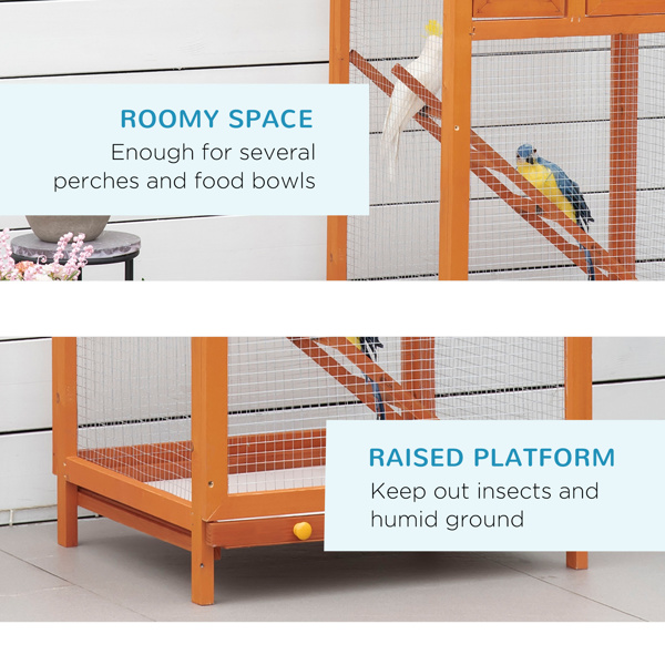 Bird Cage-5
