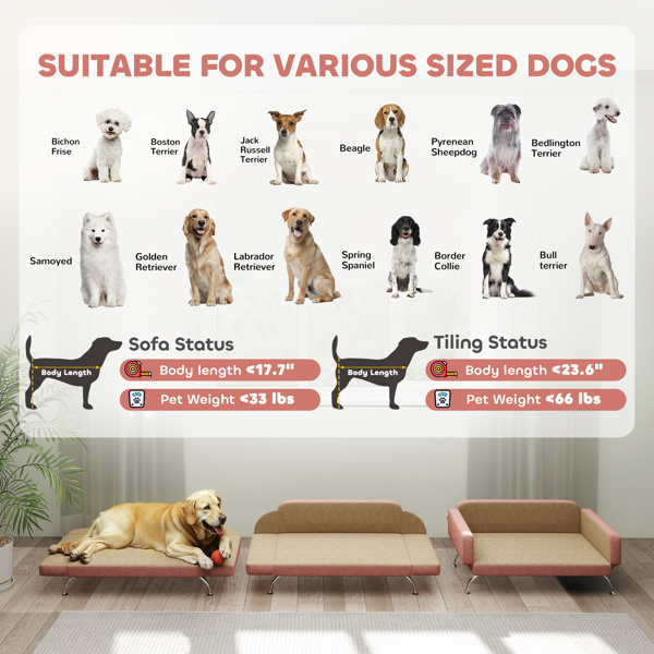 Dog Bed/Pet Sofa ( Amazon Shipping)（Prohibited by WalMart）-4