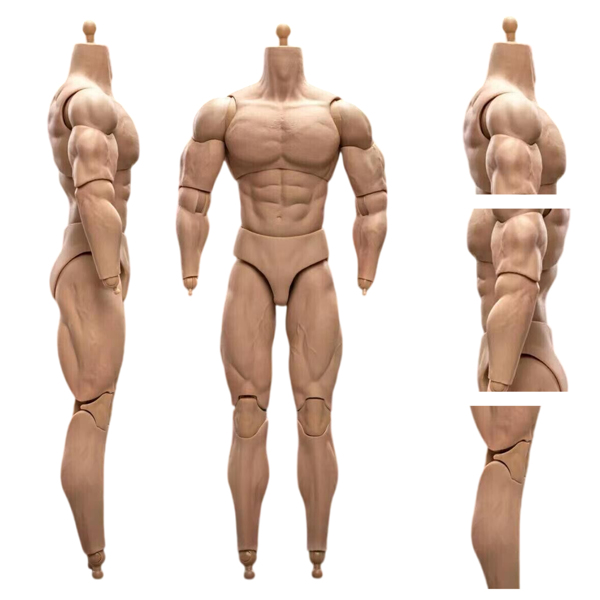 1/6 比例 BD003 肌肉发达男性可动人偶身体，适用于 12 英寸 Hot Toy 士兵头部-2