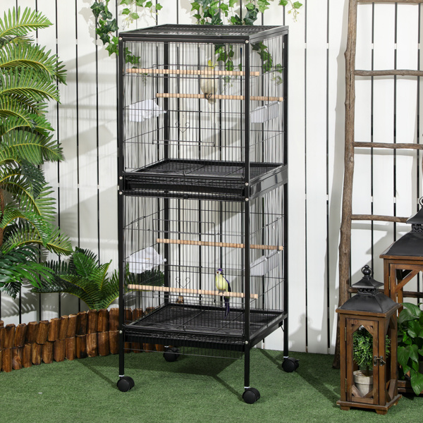 Bird Cage-1