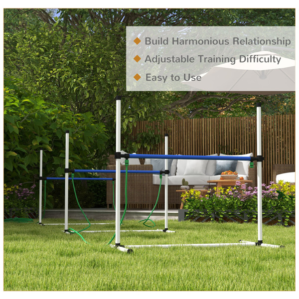 Dog agility training equipment-5