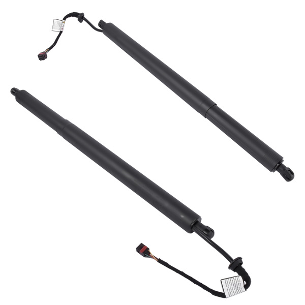 Power Tailgate Lifts LH & RH Fit for Hyundai Santa Fe 2.0L 2.4L 2019-2020 81841-S1100 81841S1100-2