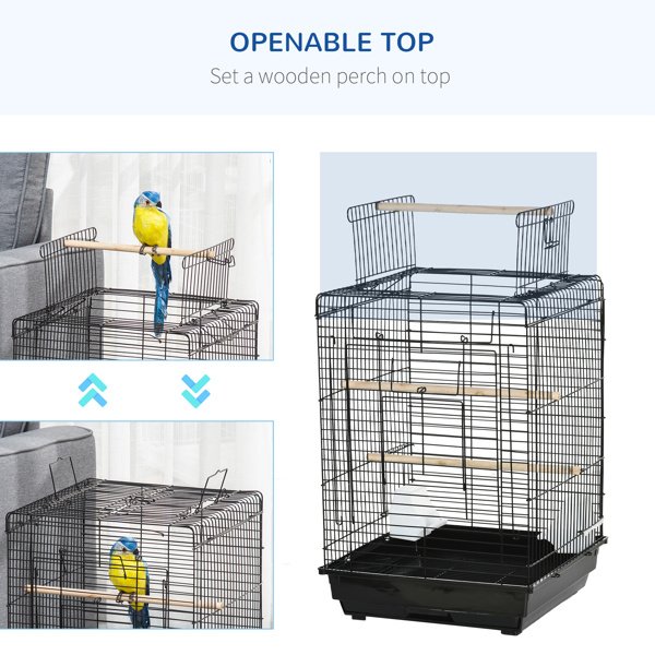 Bird Cage-7