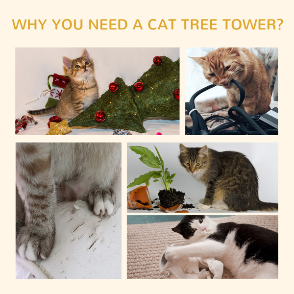 猫树/猫架（周末不发货）（ Amazon Shipping）（WalMart禁售）-5