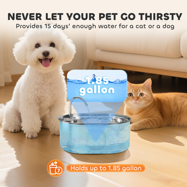 Cat Water Fountain-5
