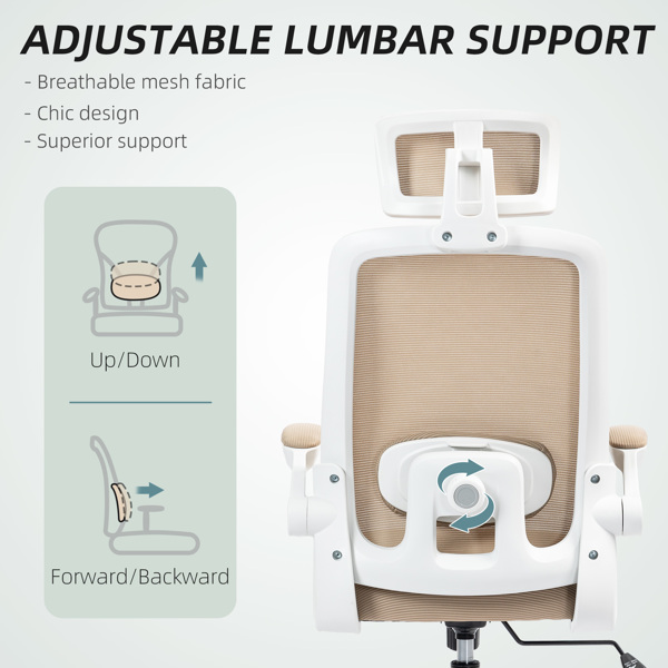 Office Chair/Massage Office Chair -4