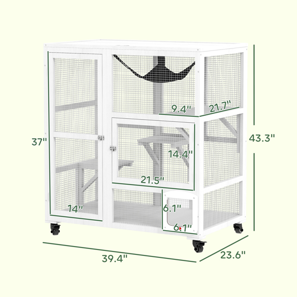 Cat House-2