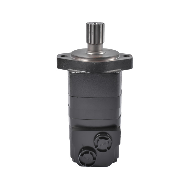 液压马达 Hydraulic Motor 104-1030 104-1030-006 Fits for Eaton Char-Lynn 2000 Series 101.6cm³/r 2-Bolt Staggered Port 1-1/4 in Spline-1