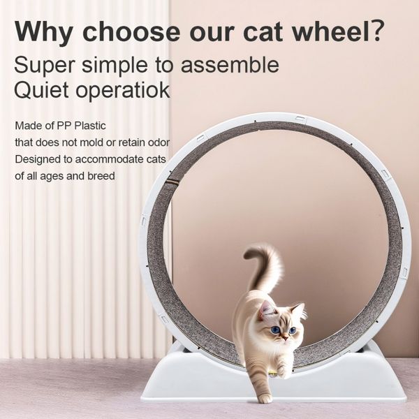 猫咪跑步轮 带地毯跑道的室内猫咪跑步机，带闩锁的安全猫咪跑步机，猫咪专用加重轮，为猫咪运动增添乐趣-7
