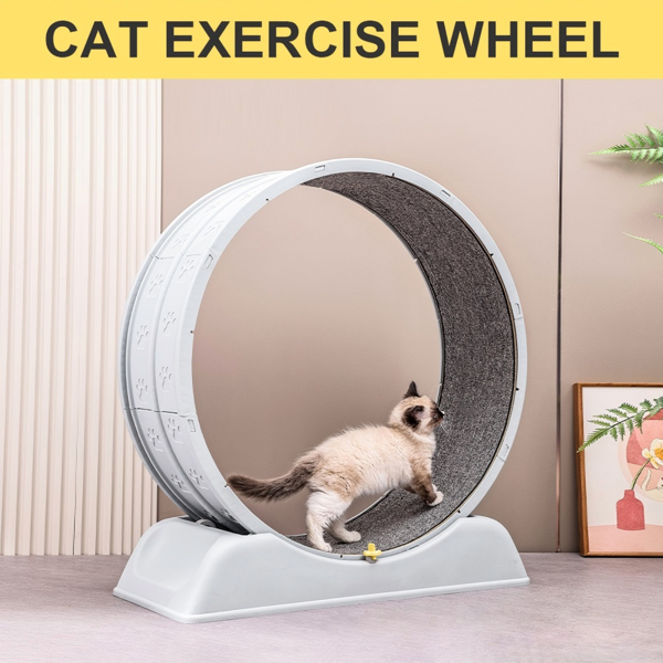 猫咪跑步轮 带地毯跑道的室内猫咪跑步机，带闩锁的安全猫咪跑步机，猫咪专用加重轮，为猫咪运动增添乐趣-8