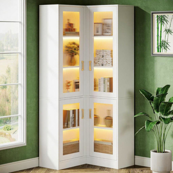 Shelf Book/Storage Cabinet