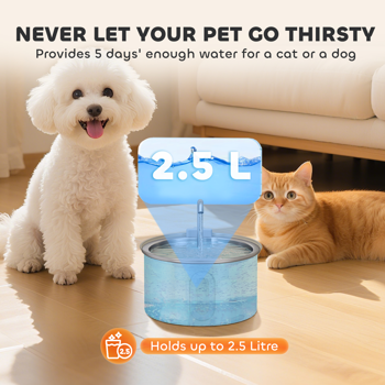 猫饮水机