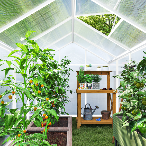 Greenhouse Walk-in Grow House（Not Supported non-defective remorse returns）-6